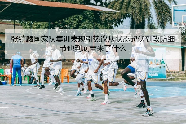 张镇麟国家队集训表现引热议从状态起伏到攻防细节他到底带来了什么